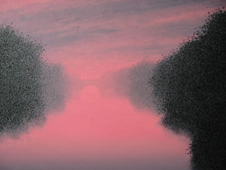 JourneyBoy Art